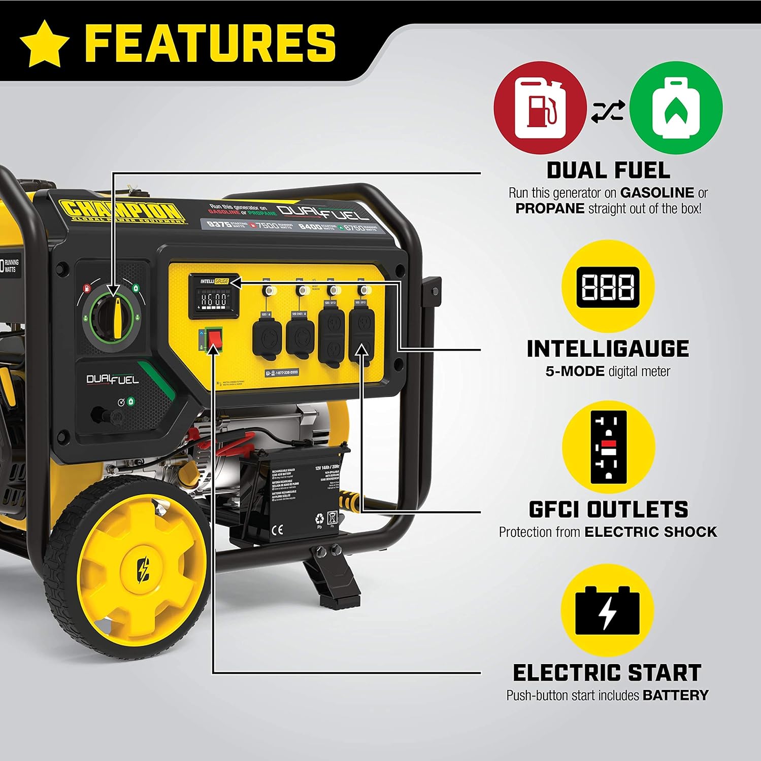 Champion Power Equipment 9375-Watt Dual Fuel Portable Generator, Electric Start