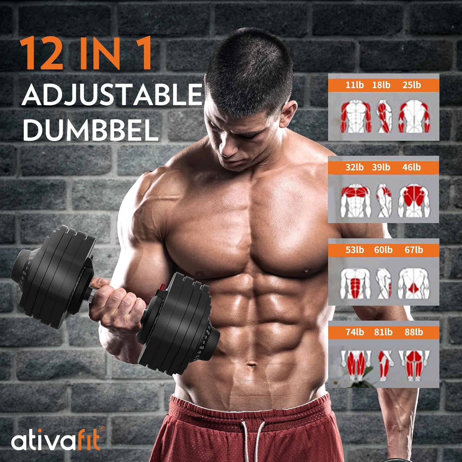 Ativafit 27.5 LBS/66LBS/88LBS Adjustable Dumbbell Set with Anti-slip Handle 12 In 1 Quick Dial Adjustment Weights With Safety Locking Button Space Saving Strength Training for Full Body Home Gym Workout